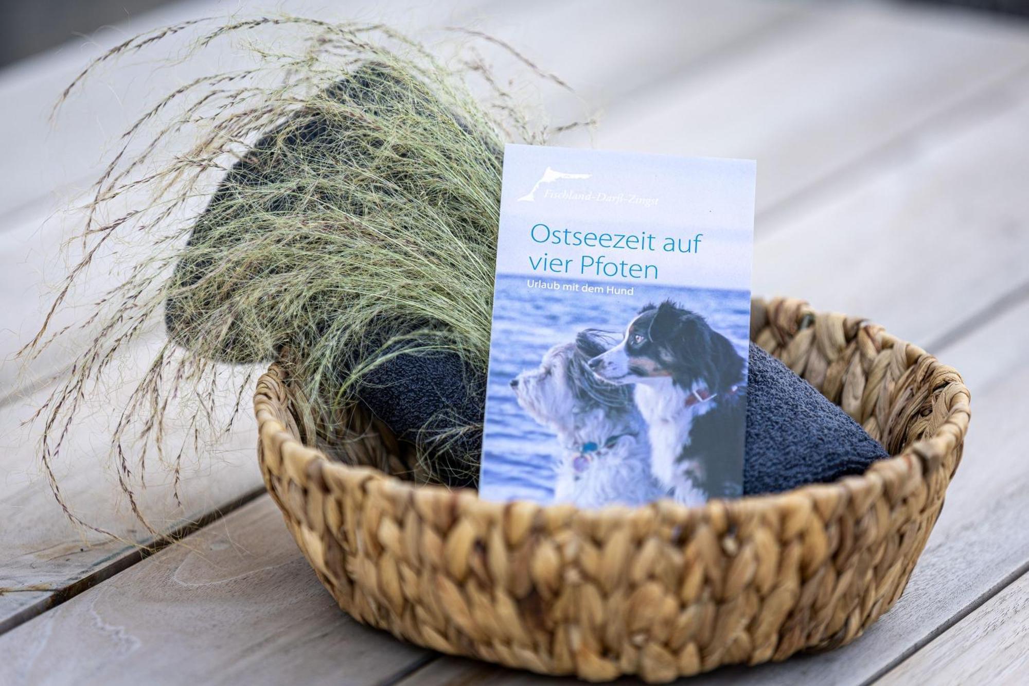 Solvis Βίλα Zingst Εξωτερικό φωτογραφία